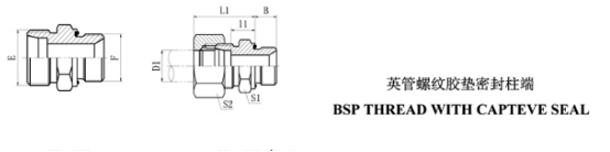 英管螺紋膠墊密封柱端直通接頭